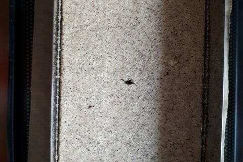 Cliquez pour zoomer ! Trianon Thermomix par Manu3100p