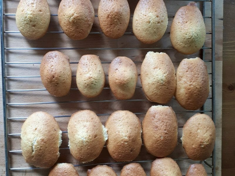 Cliquez pour zoomer ! Madeleines Thermomix par Manu3100p