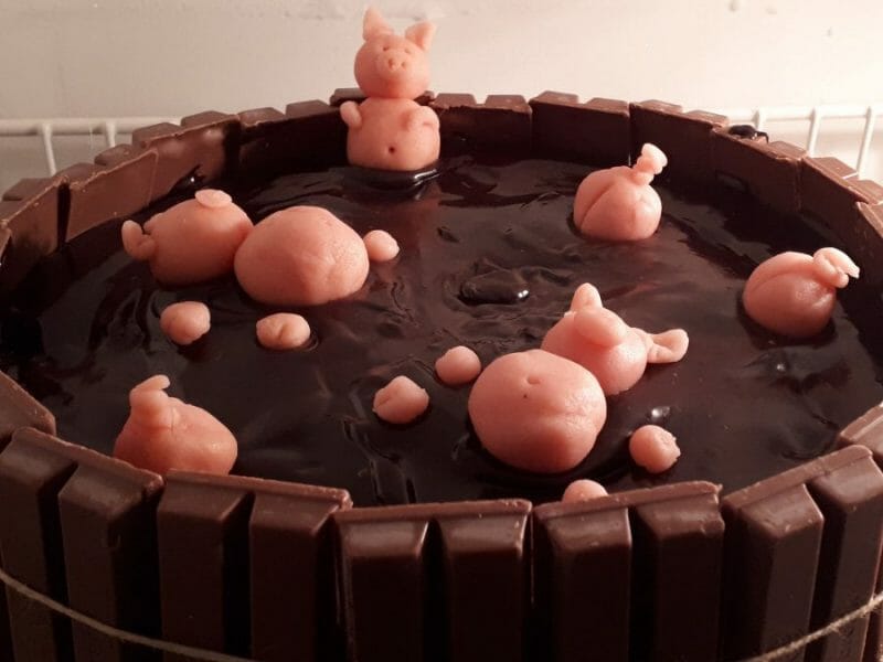Cliquez pour zoomer ! La mare aux cochons Thermomix par Nathalie