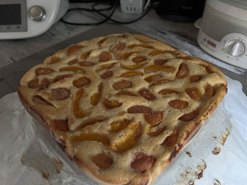 Cliquez pour zoomer ! Far aux abricots Thermomix par cattchique