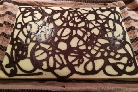 Cliquez pour zoomer ! Génoise au chocolat Thermomix par Laeti67