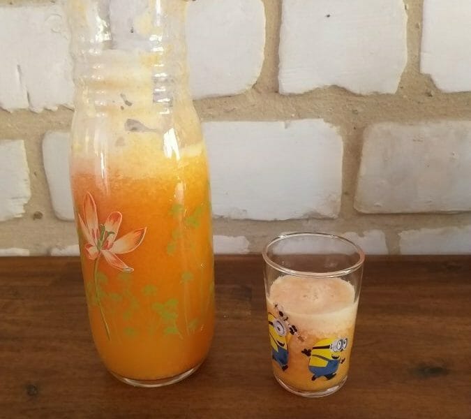 Jus de fruits ACE Thermomix par Aurelie03