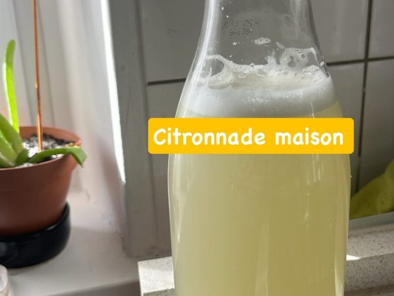 Cliquez pour zoomer ! Citronnade Thermomix par lnmahelia107
