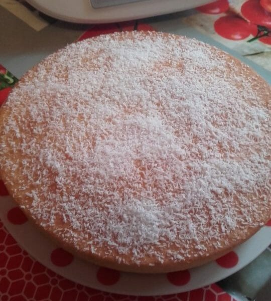 Cliquez pour zoomer ! Moelleux au citron Thermomix par Jobi joba