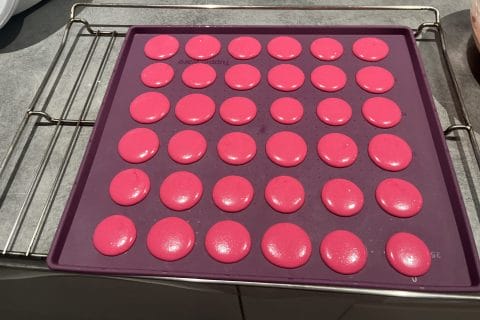 Cliquez pour zoomer ! Photo de delphine_912