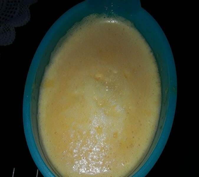 Cliquez pour zoomer ! Nectar de mangue Thermomix par Marie