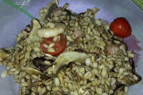 Photos des recettes