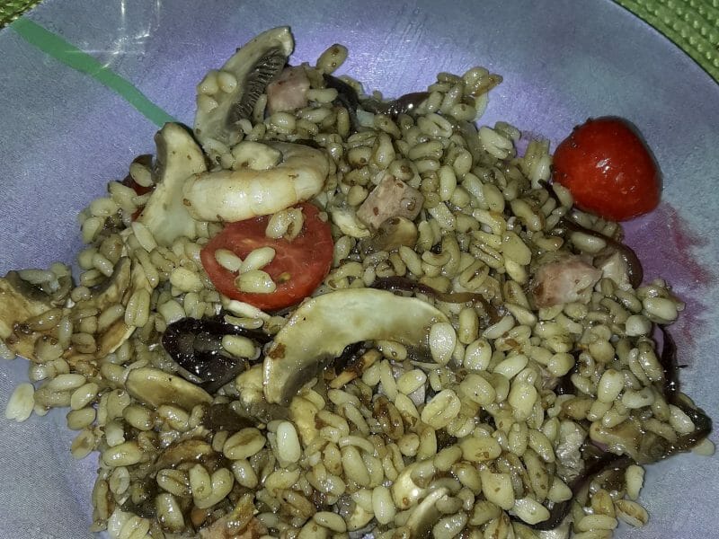 Cliquez pour zoomer ! Salade d’ebly, oignon caramélisé & mozzarella Thermomix par Marie