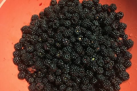 Cliquez pour zoomer ! Confiture de mûres Thermomix par elodie