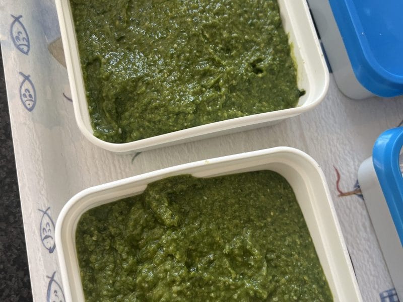 Cliquez pour zoomer ! Pesto Thermomix par Noëlle