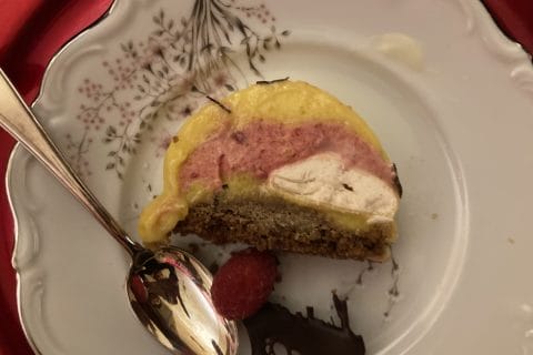 Cliquez pour zoomer ! Bûche glacée mangue et framboise Thermomix par marianne_146