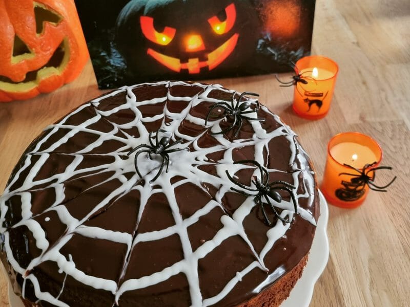 Cliquez pour zoomer ! Gâteau zébré Thermomix par lora95