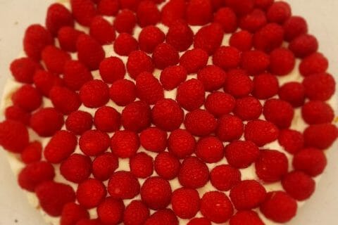 Cliquez pour zoomer ! Tarte aux fraises sans cuisson Thermomix par Celine426601