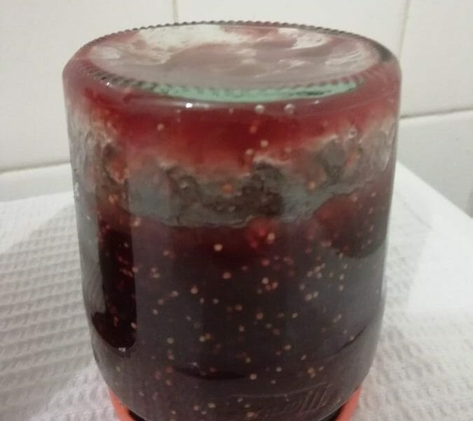 Cliquez pour zoomer ! Confiture de figues Thermomix par alex1006