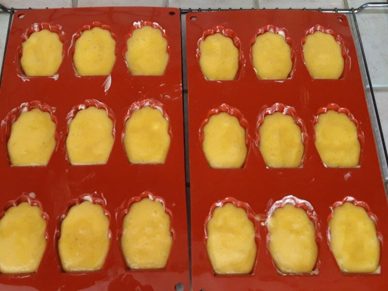 Cliquez pour zoomer ! Madeleines au safran, orange et miel Thermomix par Cricri-25