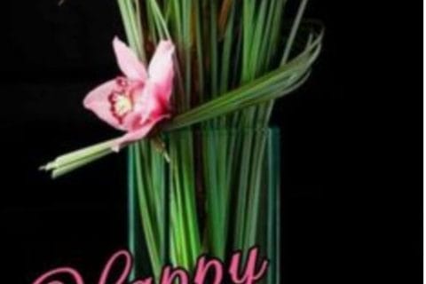 Cliquez pour zoomer ! Photo de Cricri-25