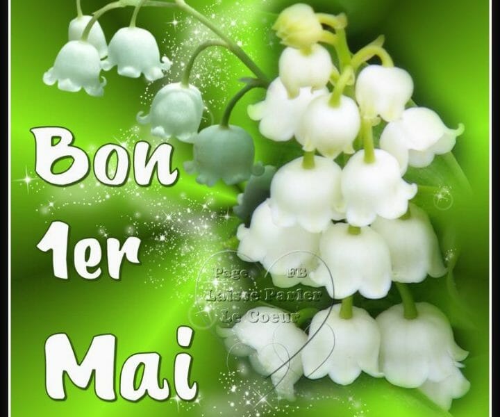 Cliquez pour zoomer ! Photo de Cricri-25 Thermomix par Cricri-25