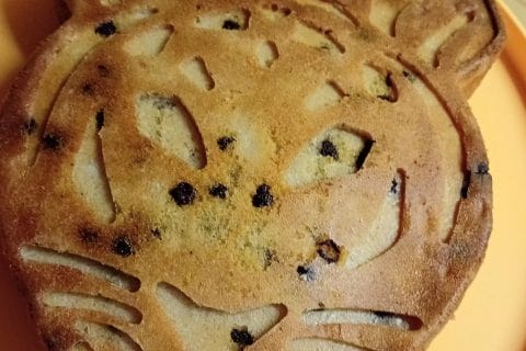 Photos des recettes