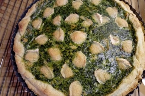 Photos des recettes
