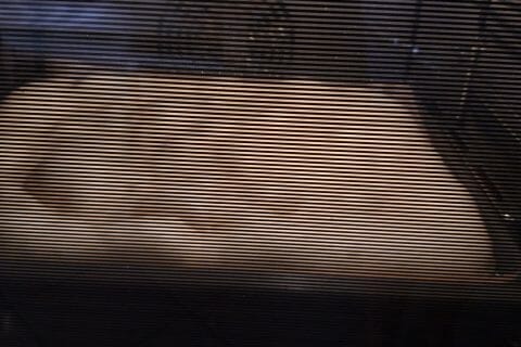 Cliquez pour zoomer ! Crêpes au four finlandaises Thermomix par Cricri-25