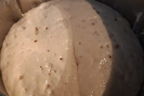 Cliquez pour zoomer ! Pompe de Noël à l’huile d’olive Thermomix par Cricri-25