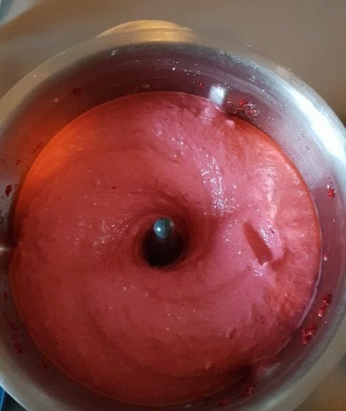 Cliquez pour zoomer ! Sorbet framboise Thermomix par Rosabella31