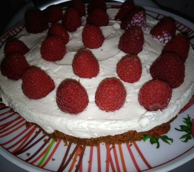 Cliquez pour zoomer ! Tarte aux fraises sans cuisson Thermomix par Stefsoso