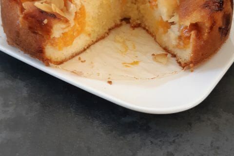 Cliquez pour zoomer ! Gâteau moelleux aux abricots Thermomix par Gourmandises