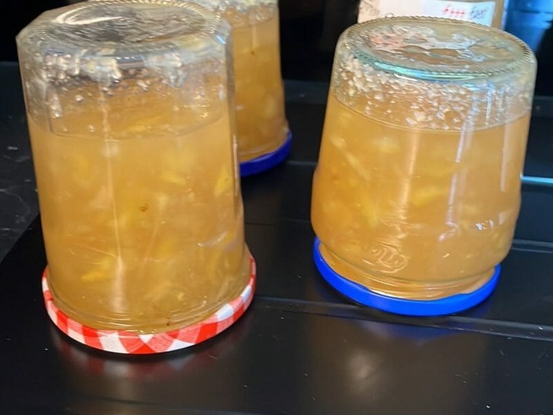 Cliquez pour zoomer ! Marmelade de pamplemousses roses Thermomix par Mi ange mi demon