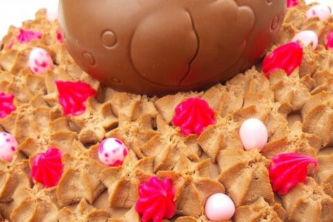 Cliquez pour zoomer ! Gâteau lapin de Pâques Thermomix par SophiedeLaPampa