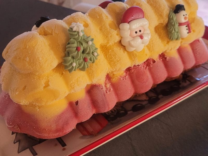 Cliquez pour zoomer ! Bûche glacée mangue et framboise Thermomix par Lea.2202