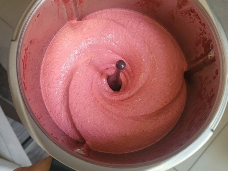 Cliquez pour zoomer ! Sorbet framboise Thermomix par Lea.2202