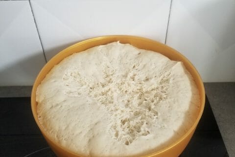 Cliquez pour zoomer ! Pain Cocotte au Thermomix