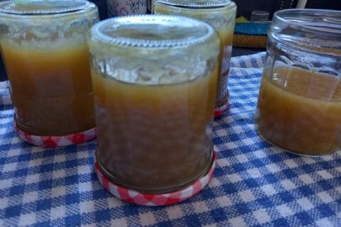 Cliquez pour zoomer ! Confiture de rhubarbe Thermomix par kevana