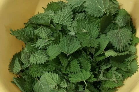 Cliquez pour zoomer ! Soupe d’orties Thermomix par Naïs