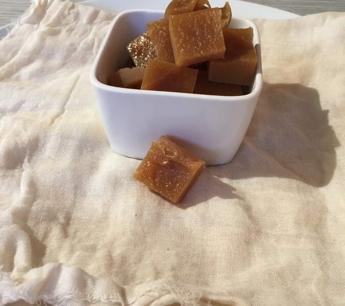 Cliquez pour zoomer ! Pâte de fruits à la pomme Thermomix par audreyc82