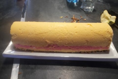 Cliquez pour zoomer ! Bûche glacée mangue et framboise Thermomix par Mélissa