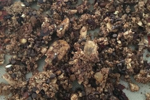Cliquez pour zoomer ! Granola au chocolat au Thermomix