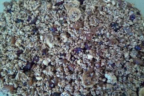Cliquez pour zoomer ! Granola au chocolat au Thermomix