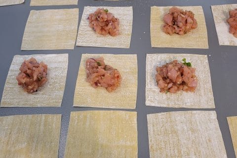 Cliquez pour zoomer ! Gyoza poulet et chou chinois Thermomix par paugab76