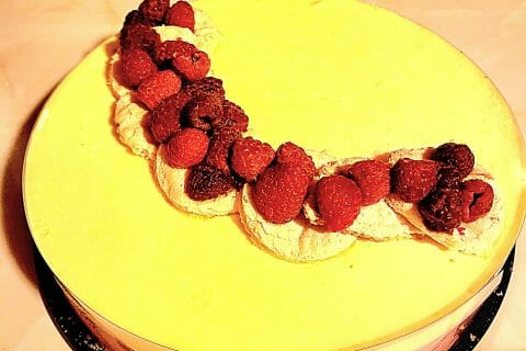 Cliquez pour zoomer ! Bavarois aux framboises Thermomix par karine2732