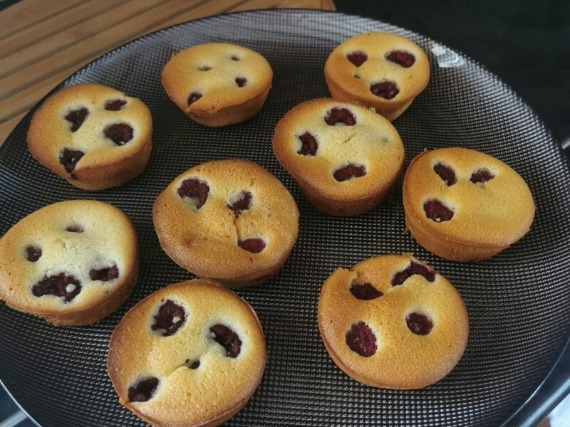 Cliquez pour zoomer ! Visitandines aux framboises Thermomix par villa