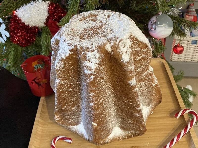 Cliquez pour zoomer ! Pandoro Thermomix par Elo