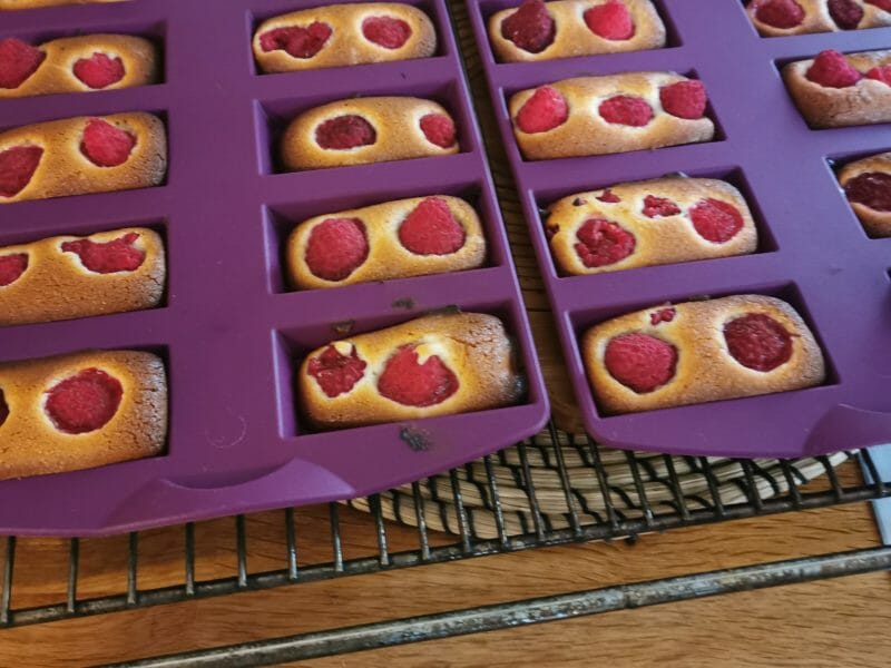 Cliquez pour zoomer ! Visitandines aux framboises Thermomix par Louisette03