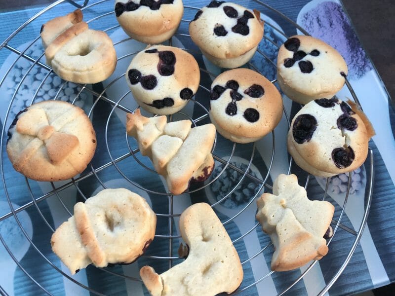 Cliquez pour zoomer ! Visitandines aux framboises Thermomix par Cilouty