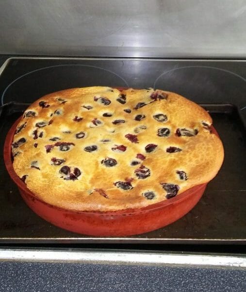 Cliquez pour zoomer ! 20180613_113900 Thermomix par etoiledesneige