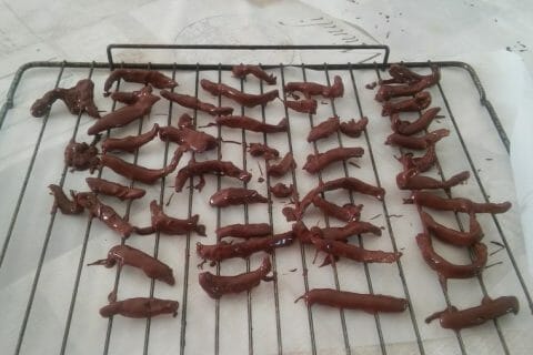 Cliquez pour zoomer ! Orangettes Thermomix par etoiledesneige