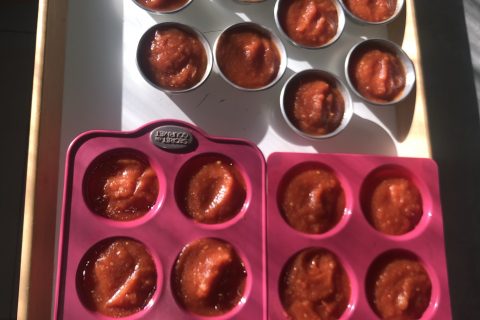 Cliquez pour zoomer ! Coulis de tomates Thermomix par Manuela93360
