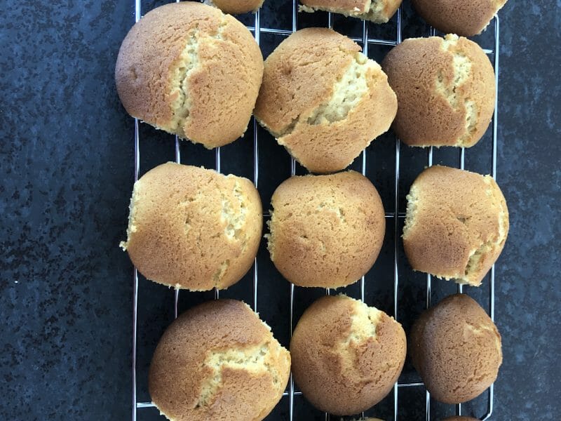 Cliquez pour zoomer ! Coquelines à la fraise Thermomix par Damien32