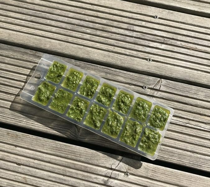 Cliquez pour zoomer ! Pesto Thermomix par Neptiune